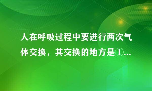 人在呼吸过程中要进行两次气体交换，其交换的地方是①鼻腔     ②肺泡      ...