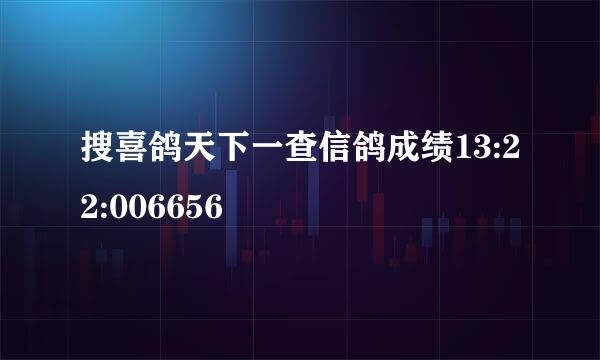 搜喜鸽天下一查信鸽成绩13:22:006656