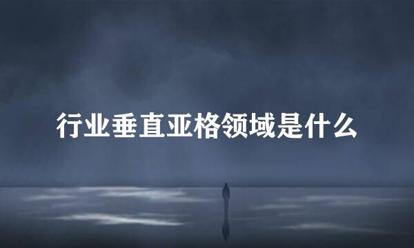 行业垂直亚格领域是什么