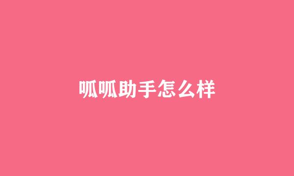 呱呱助手怎么样