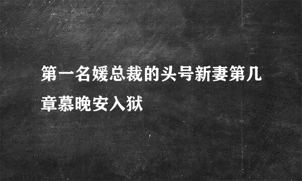 第一名媛总裁的头号新妻第几章慕晚安入狱