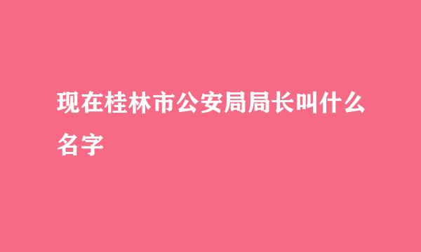 现在桂林市公安局局长叫什么名字