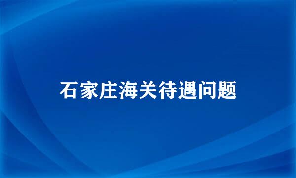 石家庄海关待遇问题