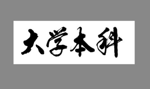 本科专业代码是多少？