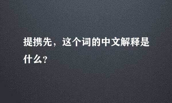 提携先，这个词的中文解释是什么？