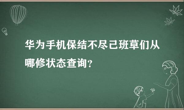 华为手机保结不尽己班草们从哪修状态查询？