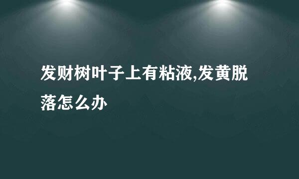 发财树叶子上有粘液,发黄脱落怎么办