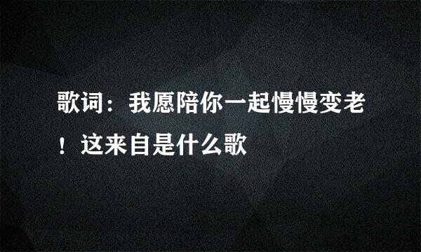 歌词：我愿陪你一起慢慢变老！这来自是什么歌