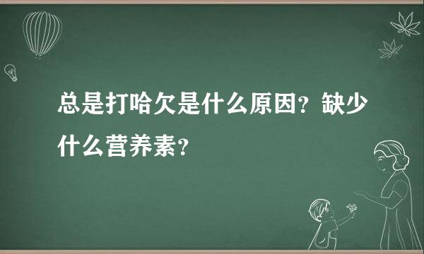 总是打哈欠是什么原因？缺少什么营养素？