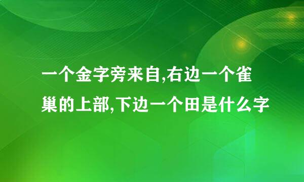 一个金字旁来自,右边一个雀巢的上部,下边一个田是什么字