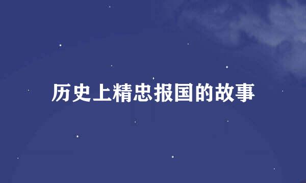 历史上精忠报国的故事