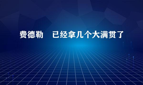 费德勒 已经拿几个大满贯了