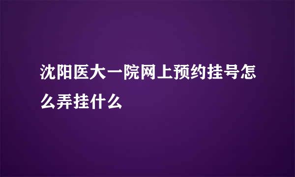 沈阳医大一院网上预约挂号怎么弄挂什么