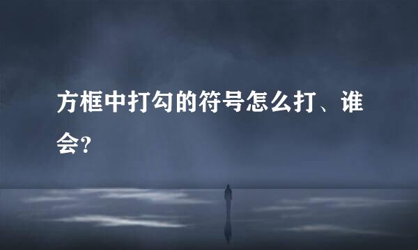 方框中打勾的符号怎么打、谁会？