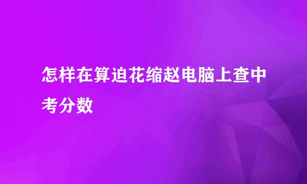 怎样在算迫花缩赵电脑上查中考分数