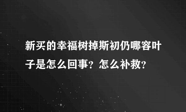 新买的幸福树掉斯初仍哪容叶子是怎么回事？怎么补救？