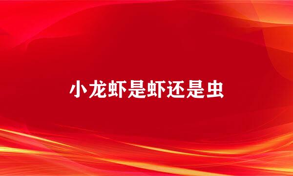 小龙虾是虾还是虫