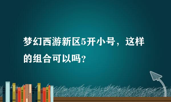 梦幻西游新区5开小号，这样的组合可以吗？