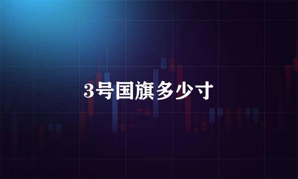 3号国旗多少寸