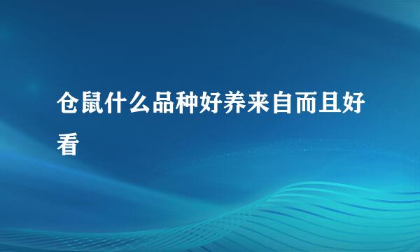 仓鼠什么品种好养来自而且好看