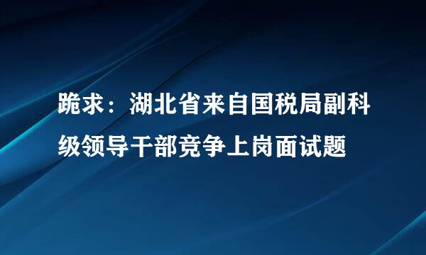 跪求：湖北省来自国税局副科级领导干部竞争上岗面试题