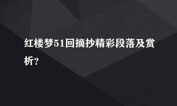 红楼梦51回摘抄精彩段落及赏析？