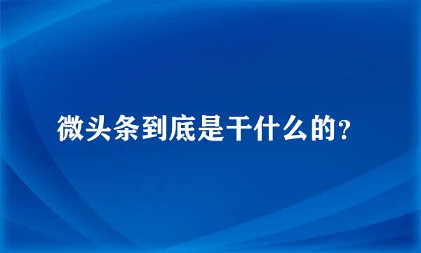 微头条到底是干什么的？