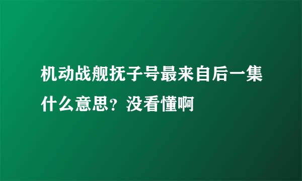机动战舰抚子号最来自后一集什么意思？没看懂啊