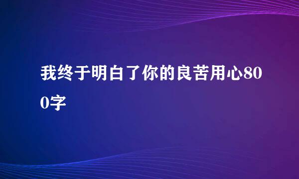 我终于明白了你的良苦用心800字