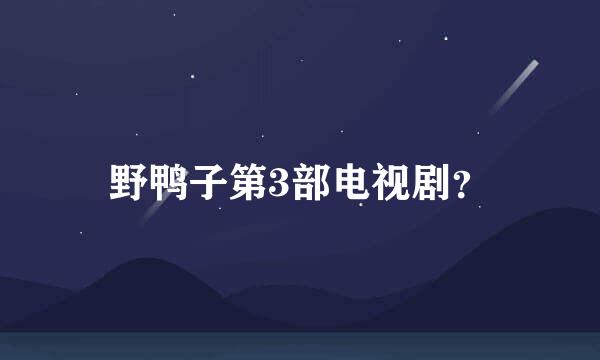 野鸭子第3部电视剧？