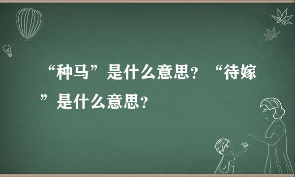 “种马”是什么意思？“待嫁”是什么意思？