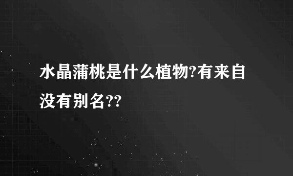 水晶蒲桃是什么植物?有来自没有别名??