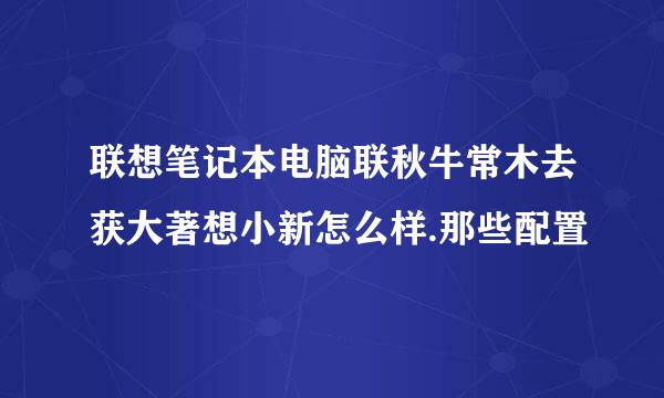 联想笔记本电脑联秋牛常木去获大著想小新怎么样.那些配置