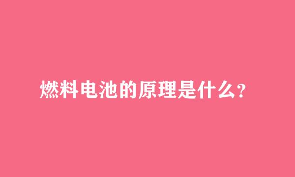 燃料电池的原理是什么？