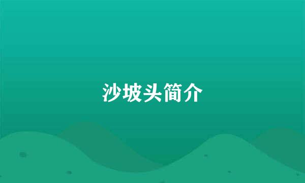 沙坡头简介