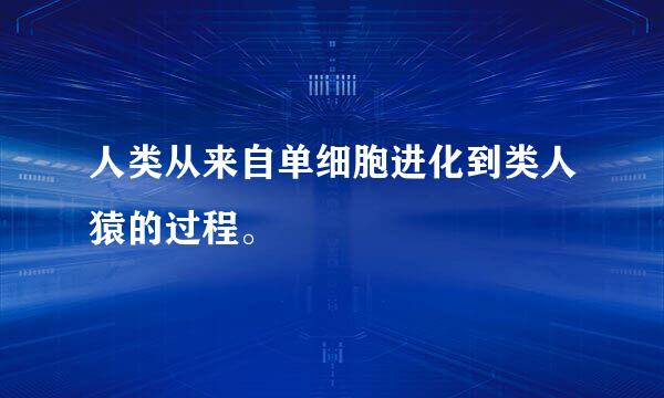 人类从来自单细胞进化到类人猿的过程。