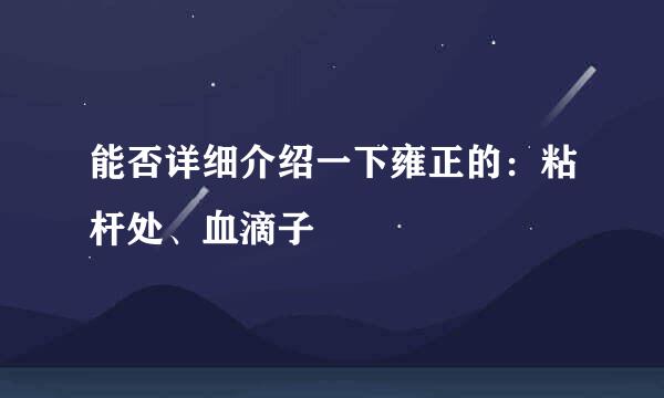 能否详细介绍一下雍正的：粘杆处、血滴子