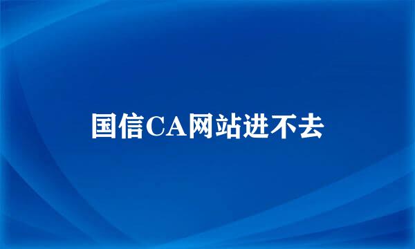 国信CA网站进不去