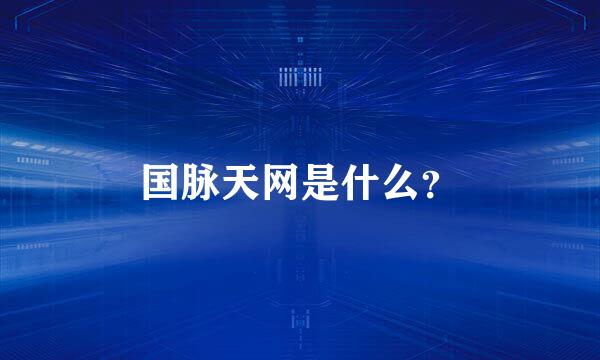 国脉天网是什么？