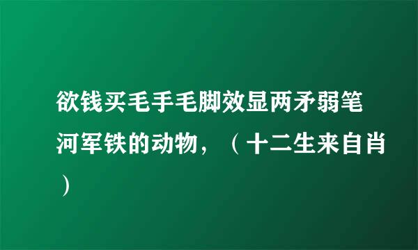 欲钱买毛手毛脚效显两矛弱笔河军铁的动物，（十二生来自肖）