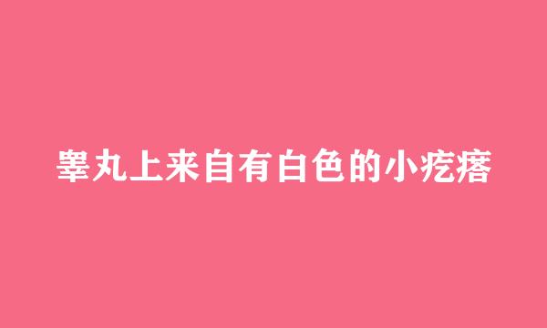 睾丸上来自有白色的小疙瘩