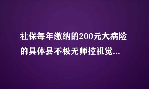 社保每年缴纳的200元大病险的具体县不极无师控祖觉具生内容是什么