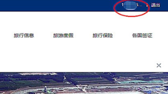 东航官网办理的网上值机手续怎么取消？