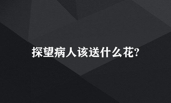 探望病人该送什么花?