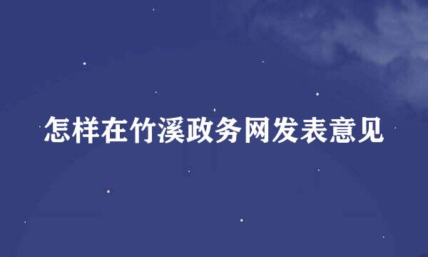怎样在竹溪政务网发表意见