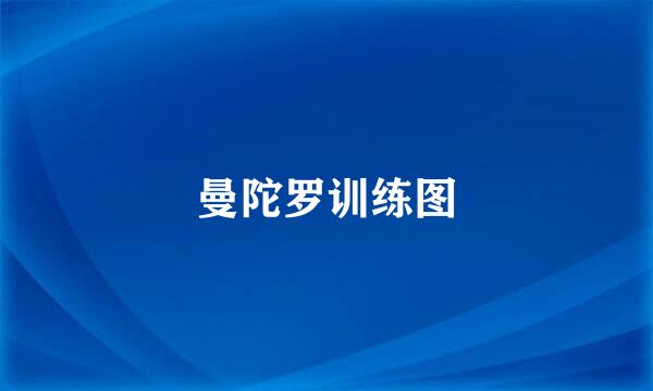 曼陀罗训练图
