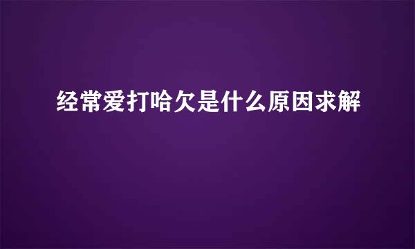 经常爱打哈欠是什么原因求解