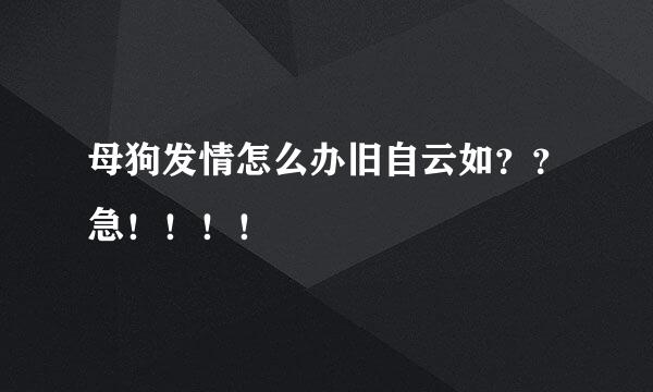母狗发情怎么办旧自云如？？急！！！！