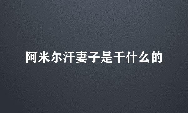 阿米尔汗妻子是干什么的