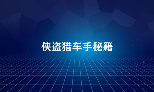 侠盗猎车手秘籍